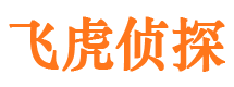 河源婚外情调查取证